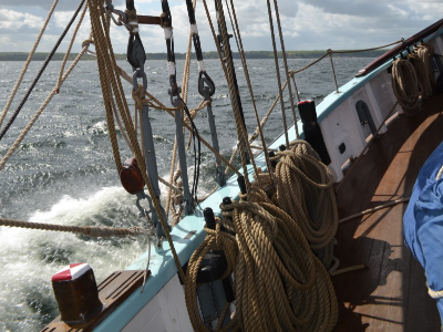dsc_1146.jpg
